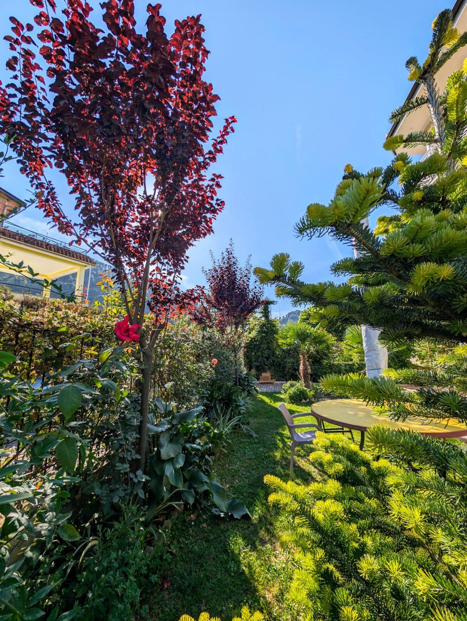 Villa With Garden And Veranda Berat Exteriör bild